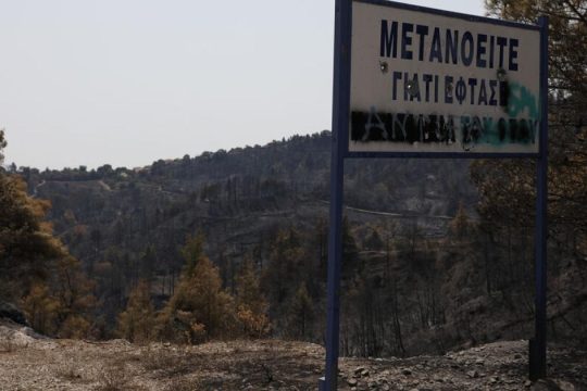 Στα αποκαΐδια ξαναβλασταίνει η ελπίδα